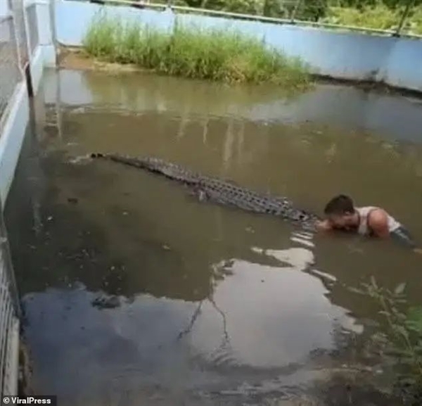 奇趣分分彩:翻鳄鱼围栏自拍游客险被撕碎!愚蠢决定竟是因为:我以为它是雕像