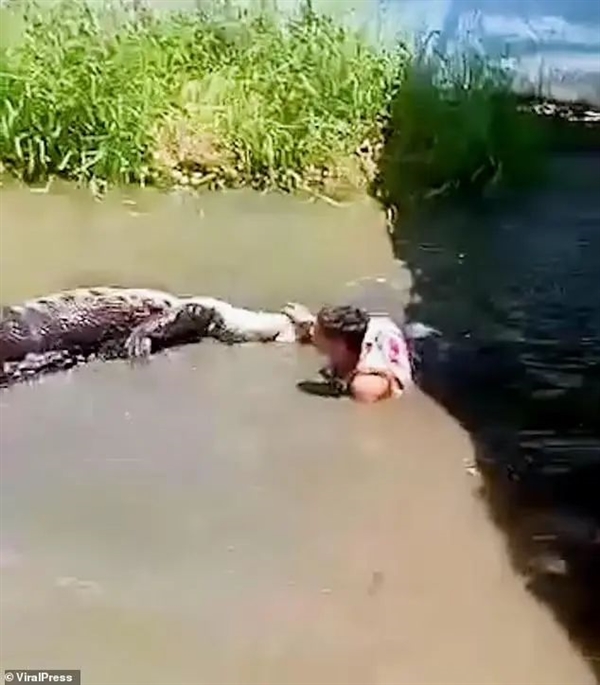 奇趣分分彩:翻鳄鱼围栏自拍游客险被撕碎!愚蠢决定竟是因为:我以为它是雕像