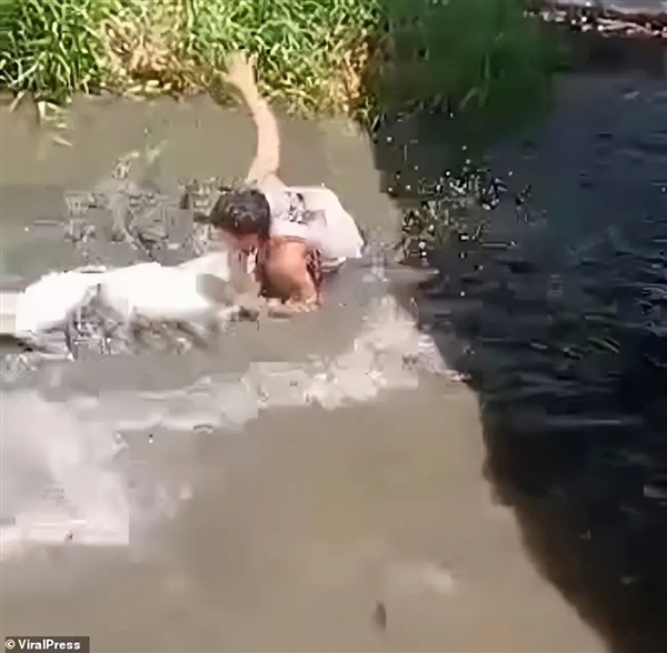 奇趣分分彩:翻鳄鱼围栏自拍游客险被撕碎!愚蠢决定竟是因为:我以为它是雕像