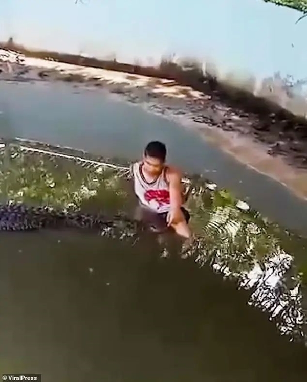 奇趣分分彩:翻鳄鱼围栏自拍游客险被撕碎!愚蠢决定竟是因为:我以为它是雕像